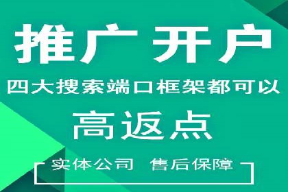 精准营销之道：百度竞价代理案例剖析