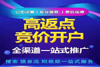 SEM服务公司助力企业流量增长案例